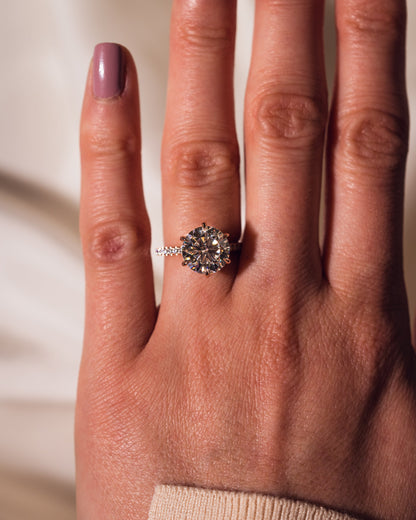 Harley (with Pavé) - Round