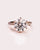 Harley (with Pavé) - Round