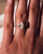 Jasmine (Pavé) - Pear