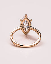 Jasmine (with Pavé) - Marquise