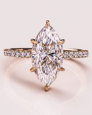 Jasmine (with Pavé) - Marquise