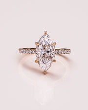 Jasmine (with Pavé) - Marquise