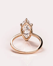 Jasmine - Marquise