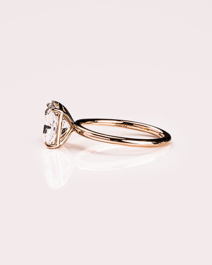 Ready to Ship - Randi - Squared Radiant