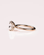 Ready to Ship - Randi - Squared Radiant