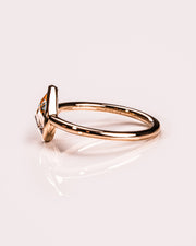 Eve - Rose Pear (Champagne)