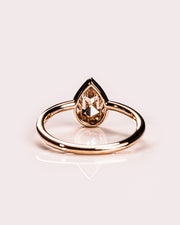 Eve - Rose Pear (Champagne)