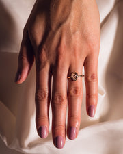 Eve - Rose Pear (Champagne)