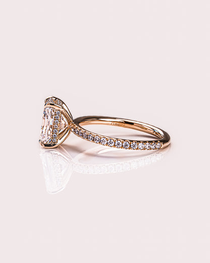 Harley (with Pavé) - Radiant