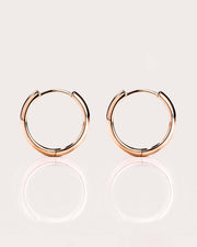 Bold Gold Hoops