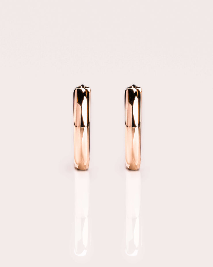 Bold Gold Hoops
