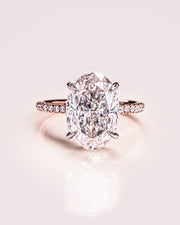 Ready to Ship - Jasmine - Oval - Platinum Head & Rose Gold Band