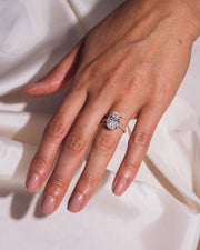 Ready to Ship - Jasmine - Oval - Platinum Head & Rose Gold Band
