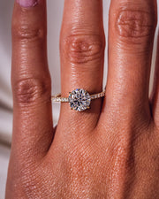 Jasmine (Pavé) - Round