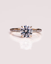 Jasmine (Pavé) - Round