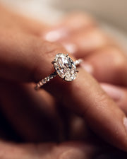 Ready to Ship - Jasmine - Crushed Ice Oval